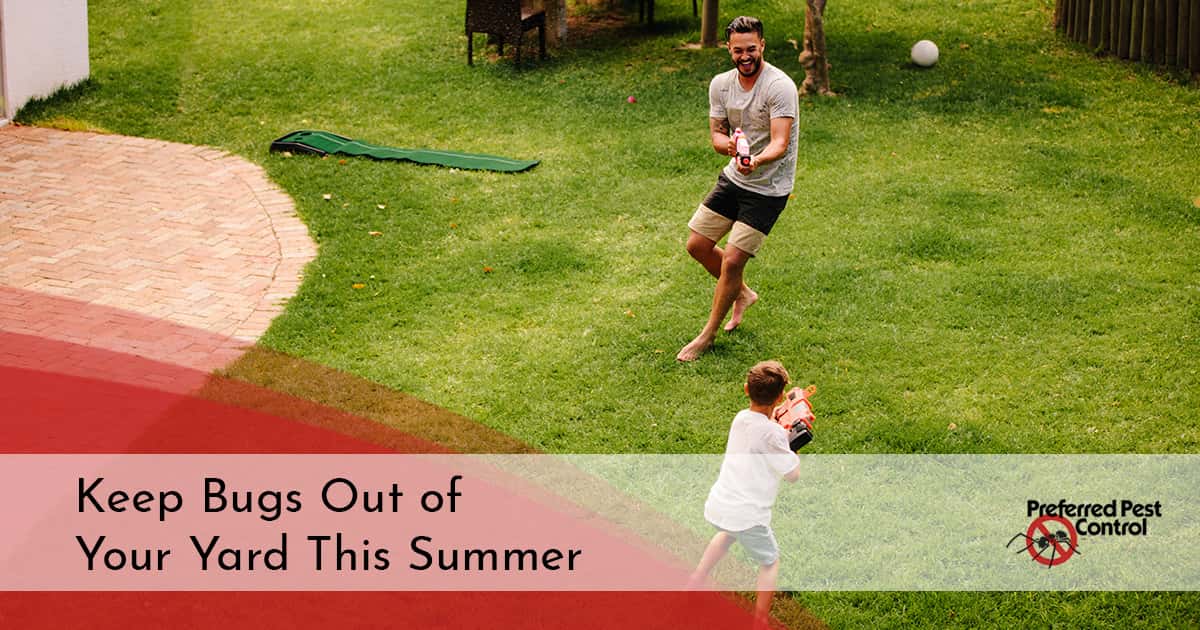 How to Keep Bugs Away From the Backyard Preferred Pest